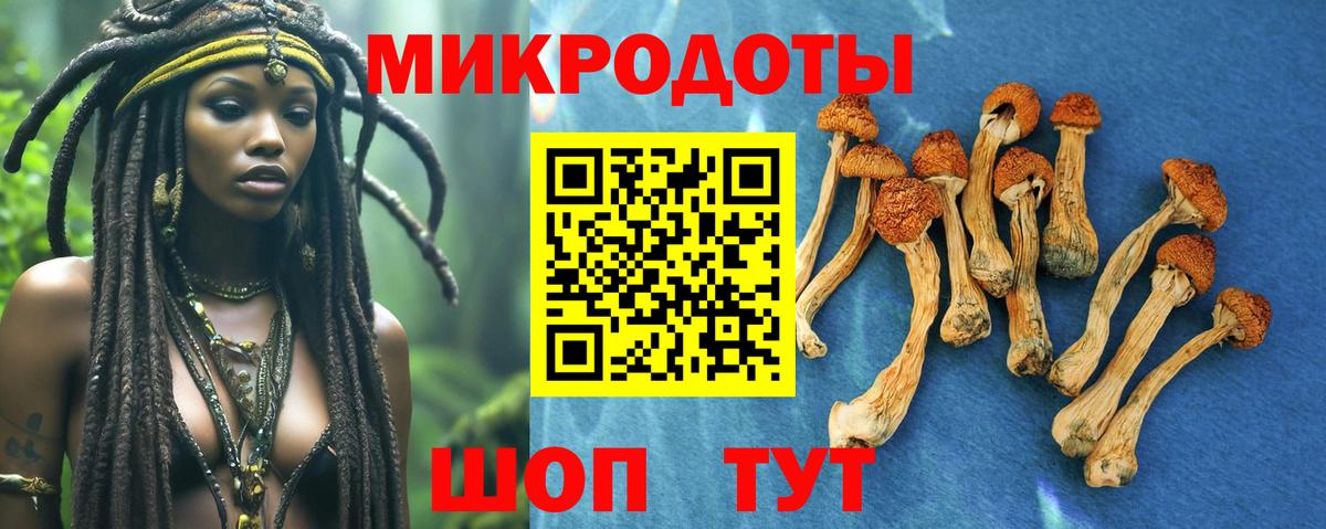 Галлюциногенные грибы Psilocybine cubensis  Вход с VPN  Псилоцибиновые грибы GOLDEN TEACHER  Нефтекумск 